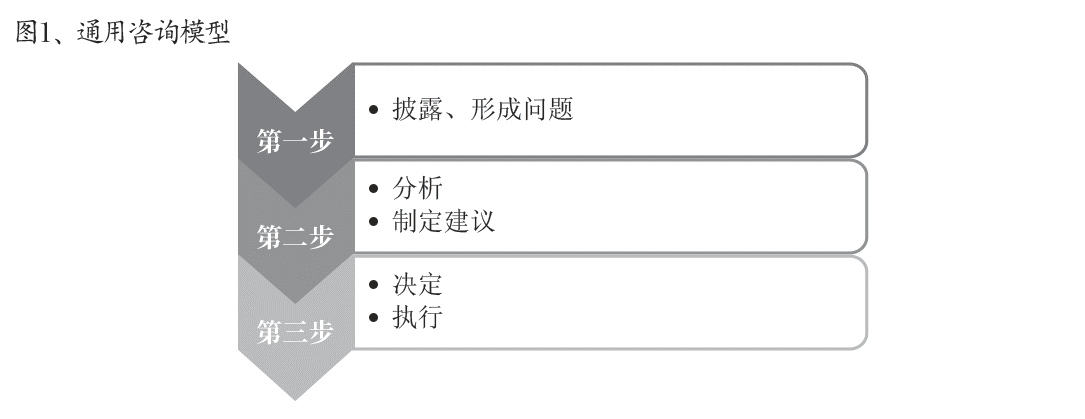 图1、通用咨询模型