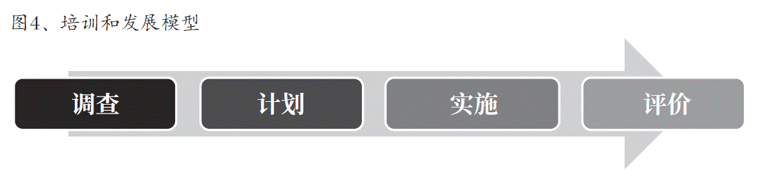 图4、培训和发展模型