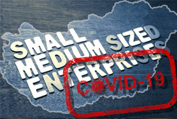 新冠疫情对匈牙利中小型企业运作的影响