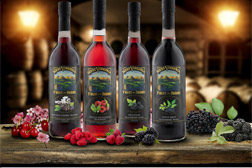 果酒产业在匈牙利的形势