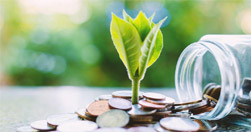 关于维谢格拉德国家银行业，特别是匈牙利大型银行的绿色金融产品